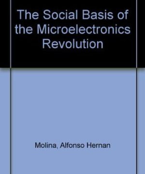 The Social Basis of the Microelectronics Revolution