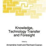 Sociotechnical Alignment in the Intra-Organisational Diffusion of Information Technology